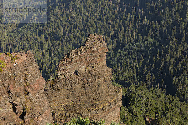 Wunderschöne Naturkulisse aus Vulkangestein am Iron Mountain  Oregon  USA