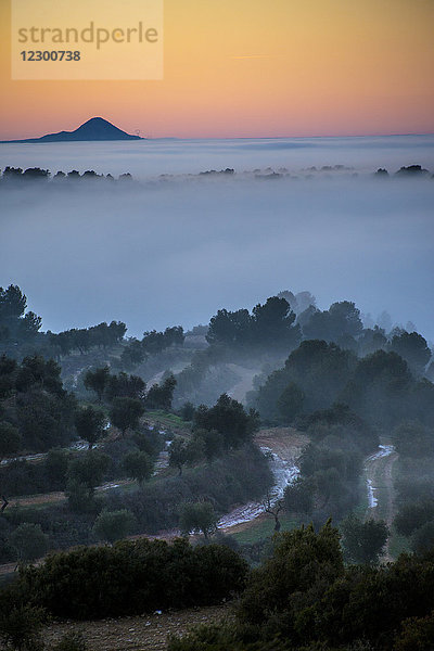 Klarer orangefarbener Himmel über einer kurvenreichen Straße vor einem nebelverhangenen Gelände in der stimmungsvollen Abenddämmerung  Lleida  Spanien