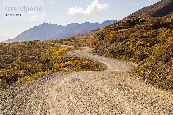 Schöne Landschaft mit kurvenreicher Schotterstraße  Denali-Nationalpark  Alaska  USA