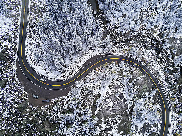S-Kurve auf Straße durch Wald im Winter  Independence Pass  Aspen  Colorado  USA