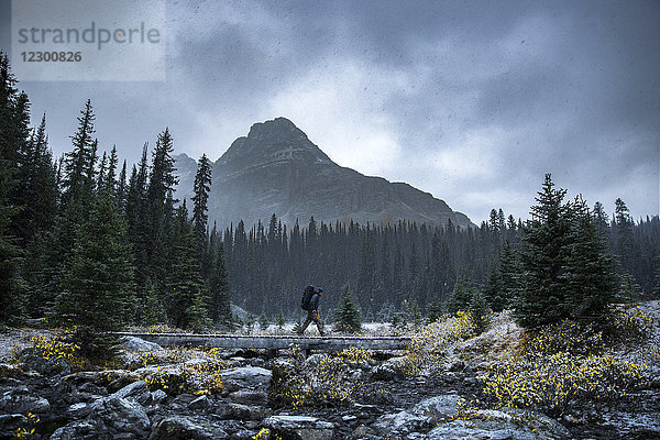 Rucksacktourist überquert eine Holzbrücke über ein ausgetrocknetes und felsiges Flussbett in British Columbia  Yoho National Park. Mount Schaffer im Hintergrund.