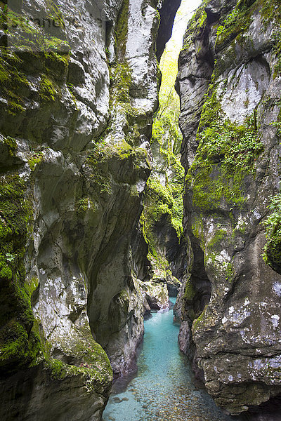Majestätische Naturkulisse der Tolmin-Schlucht im Triglav-Nationalpark  Slowenien