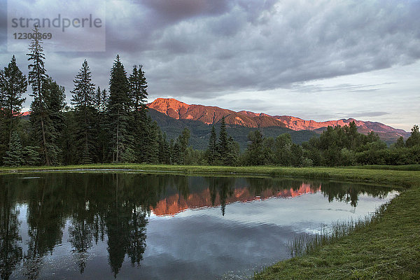 Blick auf einen glänzenden Teich im Blanco Basin  in dem sich die Wolken und die umliegenden Bäume in der Abenddämmerung spiegeln  Colorado  USA
