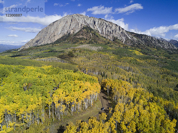 Berg- und Waldszenerie im Herbst  Kebler Pass in der Nähe von Crested Butte  Colorado  USA