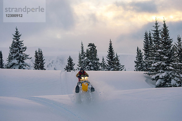 Junger Mann fährt Schneemobil im schneebedeckten Hinterland  Colorado  USA