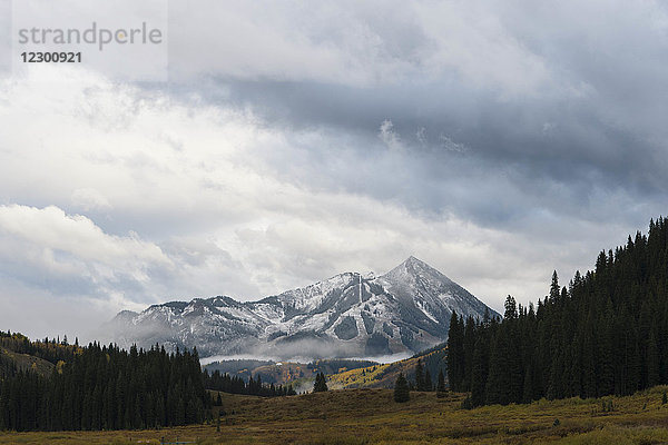 Szenerie mit Berggipfel und Wald  Crested Butte  Colorado  USA