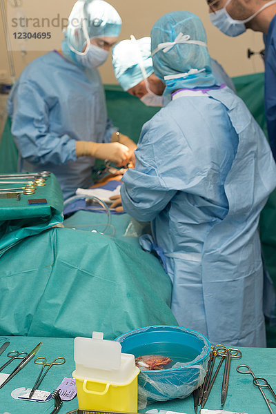 Reportage über eine Nierentransplantation in der urologischen Abteilung des Krankenhauses von Nizza  Frankreich. Die Niere stammt von einem lebenden verwandten Spender  der Frau des Empfängers. Transplantation der Niere in den Empfänger.