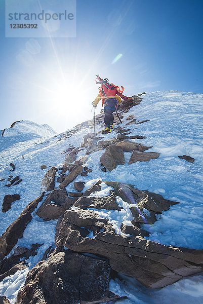 Rückansicht eines einsamen abenteuerlustigen Bergsteigers auf dem Berg Shasta im Winter  Kalifornien  USA
