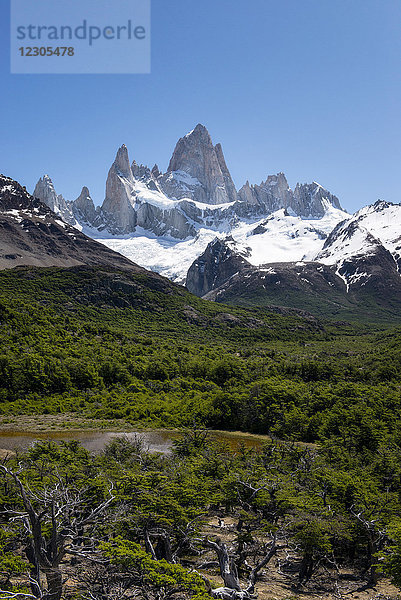 Majestätischer Blick auf den Berg Monte Fitz Roy  Patagonien