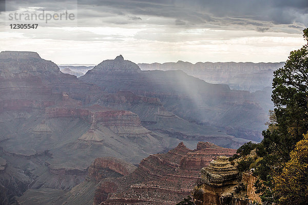 Blick auf den Grand Canyon und die umliegende Landschaft des Grand Canyon National Park  Arizona  USA