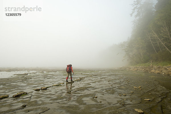 Rückansicht einer Rucksacktouristin  die bei Ebbe entlang der Küstenlinie mit freiliegendem Felsen wandert  West Coast Trail  Pacific Rim National Park auf Vancouver Island  British Columbia  Kanada