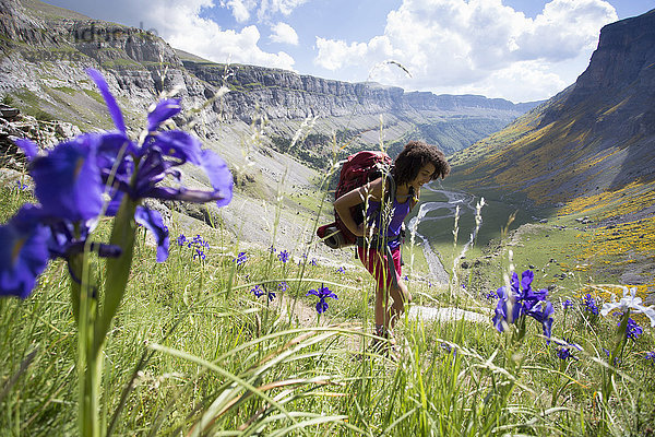 Junge Rucksacktouristin beim Wandern zwischen Wildblumen im Ordesa-Tal in den Pyrenäen  Nationalpark Ordesa y Monte Perdido  Huesca  Aragonien  Spanien