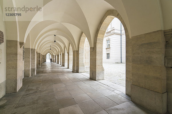 Die Minoritenkirche  offiziell Italienische Nationalkirche Maria Schnee genannt  ist eine Kirche im Stil der französischen Gotik in der Altstadt oder im ersten Bezirk von Wien  Österreich