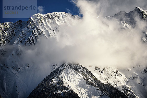 Majestätische Naturkulisse des schneebedeckten Mount Currie  Pemberton  British Columbia  Kanada