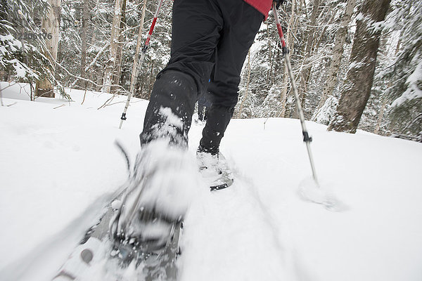 Mann bewegt sich unscharf auf einem Wanderweg mit Schneeschuhen  Twin Mountain  New Hampshire  USA