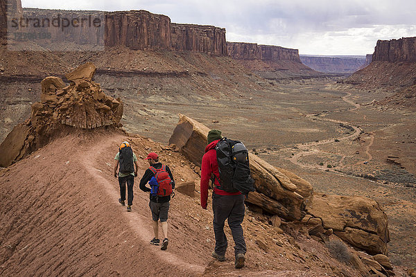 Rückansicht von drei Männern beim Wandern im Canyonlands National Park  Moab  Utah  USA