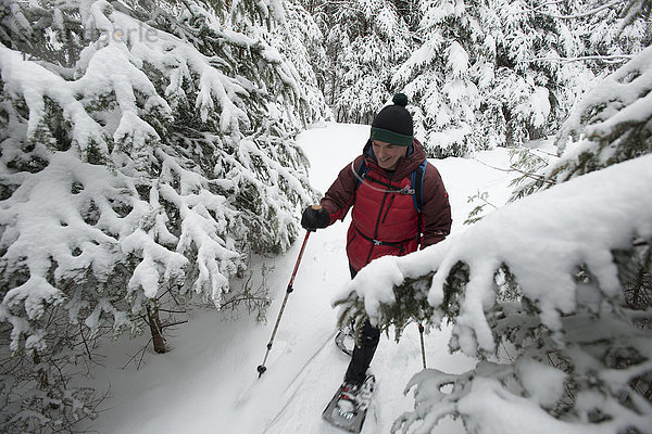 Schneeschuhwandern an einem verschneiten Wintertag in Crawford Notch  New Hampshire  USA