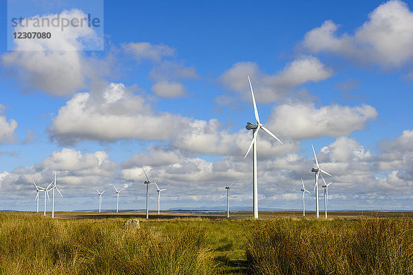 Großbritannien  Schottland  Highland  Lybster  Windpark
