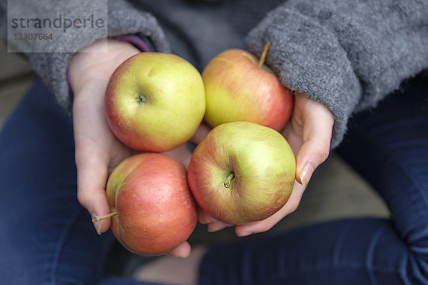 Hände halten vier Äpfel  Nahaufnahme
