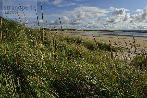 Vereinigtes Königreich  Schottland  Highland  Sutherland  Caithness  Thurso  Dunnet Beach bei Castletown