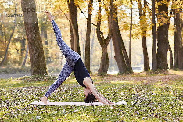 Mittlere erwachsene Frau im Wald praktiziert Yoga  nach unten gerichtete Hundehaltung