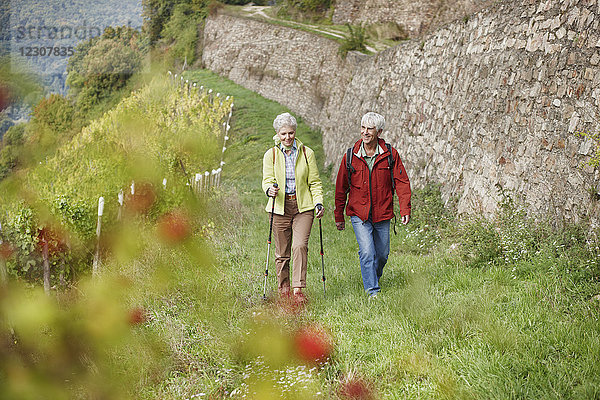 Deutschland  Rheingau  glückliches Seniorenpaar beim gemeinsamen Wandern