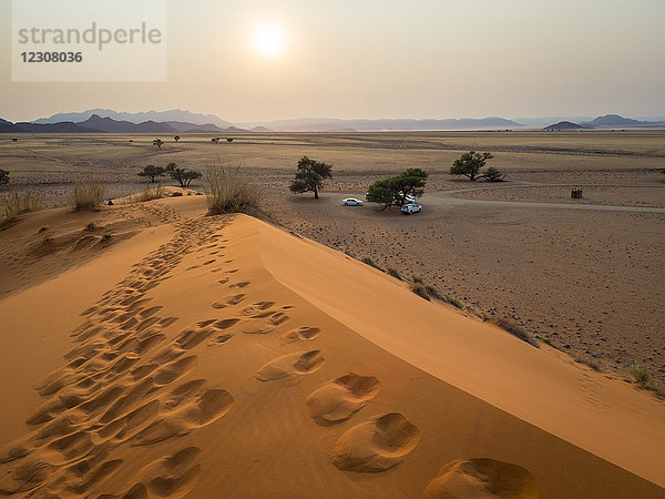 Afrika  Namibia  Namibwüste  Naukluft Nationalpark  Sossusvlei  Elim-Düne bei Sonnenaufgang