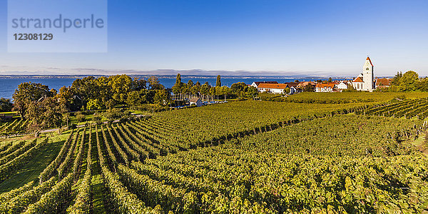 Deutschland  Baden-Württemberg  Hagnau  Bodensee  Kirche und Weinberg