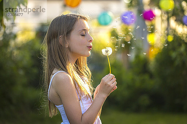 Girl blowing blowball in the garden