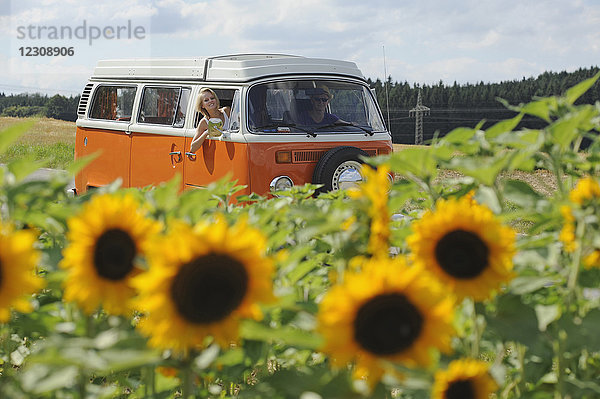 Paar im alten Wohnmobil beim Durchfahren des Sonnenblumenfeldes