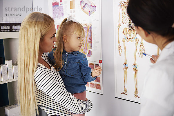 Ärztin erklärt Mutter mit Mädchen in der Arztpraxis das anatomische Diagramm