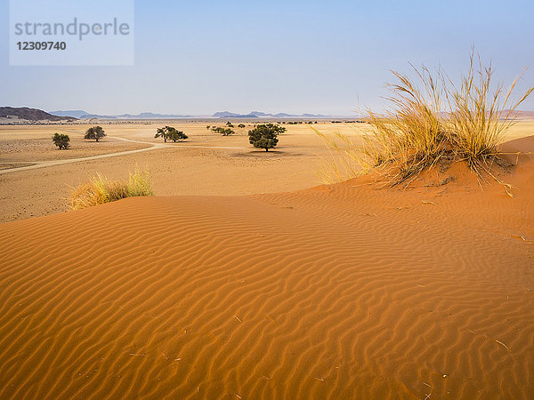 Afrika  Namibia  Namib Wüste  Naukluft Nationalpark  Sossusvlei  Elim-Düne