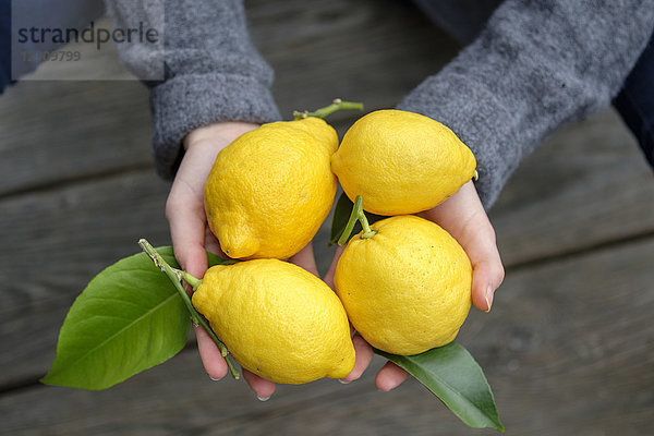 Hände halten vier Zitronen  Nahaufnahme