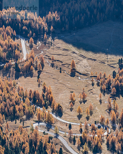 Herbstfarben  Dolomiten  Cortina d'Ampezzo  Venetien  Italien