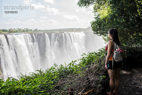 Junge Touristin mit Blick auf die Victoriafälle  Simbabwe  Afrika