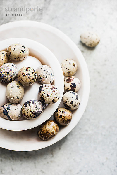 Weiße und gesprenkelte Eier in Schalen  Draufsicht