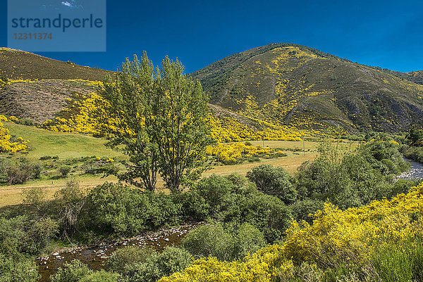 Spanien  Provinz León  Mittelgebirgslandschaft in Boca-de-Huergano  Jakobsweg