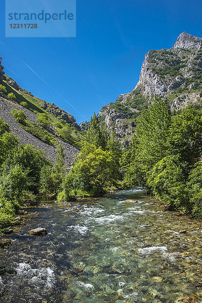 Spanien  Nationalpark Picos de Europa  Wildbach des Flusses Cares