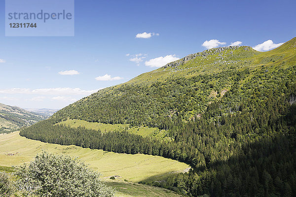 Das Zentralmassiv. Cantal. Blick auf die Berge des Cantal vom Aufstieg zum Puy Mary.