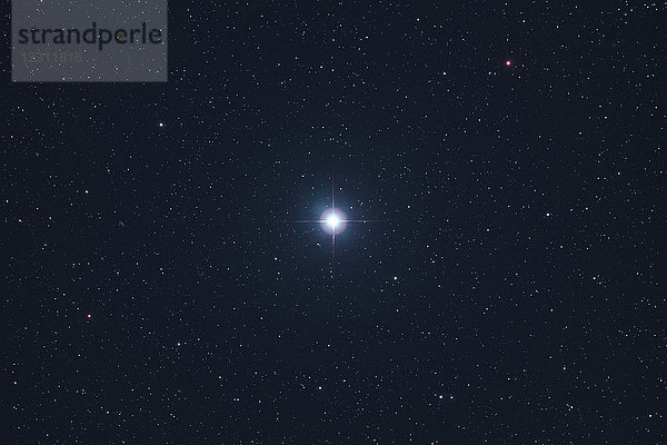 Seine und Marne. Konzentrieren Sie sich auf einen der schönsten Sterne des Himmels: Wega im Sternbild Leier. Der blaue Stern befindet sich 25 Lichtjahre von der Erde entfernt und ist vor allem im Sommer gut sichtbar.