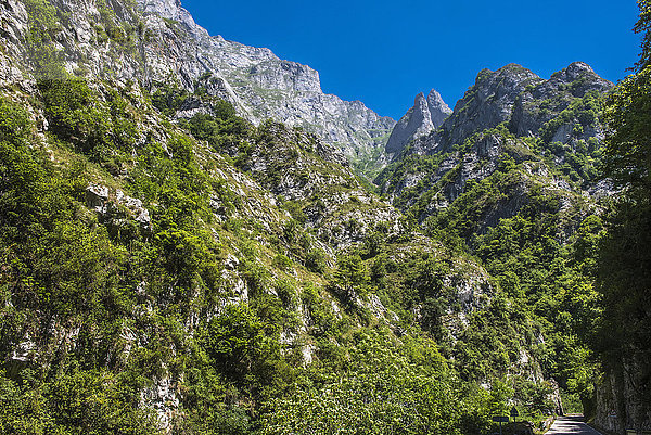 Spanien  Nationalpark Los Picos de Europa  Provinz León  Engpass Los Beyos