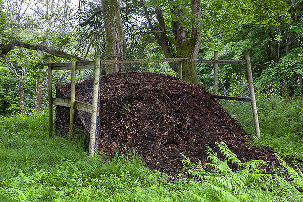 abgestorbene Blätter bei der Kompostierung