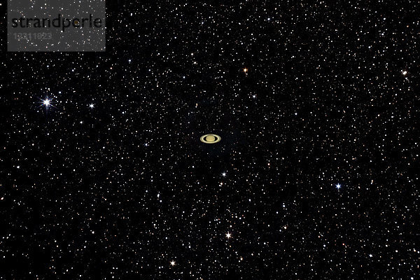 Der Planet Saturn leuchtet vor Hunderten von Sternen.