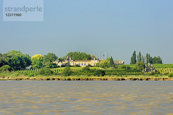 Frankreich  Südwestfrankreich  Chateau de Loudenne  Chinesischer Weinberg an der Mündung der Gironde
