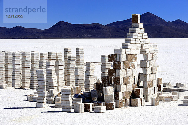 Bolivien  Südamerika  Altiplano  Salzziegel für den Bau von Häusern in der Wüste Salar de Uyuni