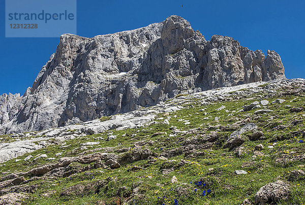 Spanien  Kantabrien  Nationalpark Picos de Europa  Gletscherbruch von Fuente De