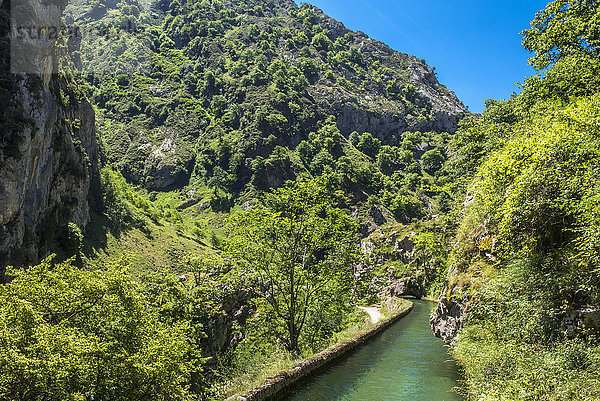 Spanien  Nationalpark der Picos de Europa  Canal de Trea in der Engstelle des Flusses Cares