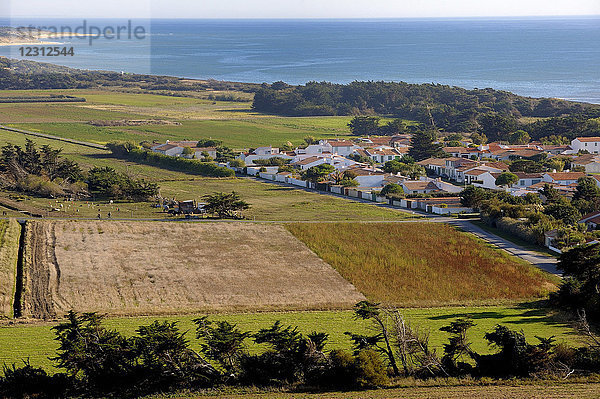 Frankreich  Westküste Frankreichs  Isle of Rhe  Felder und Wohngebiet in St Clement-les-Baleines