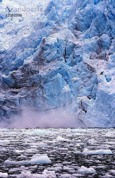 Argentinien  Tierra del Fuego  Gletscher der Cordillera Darwin  Eisfront. Eisblöcke fallen ins Meer