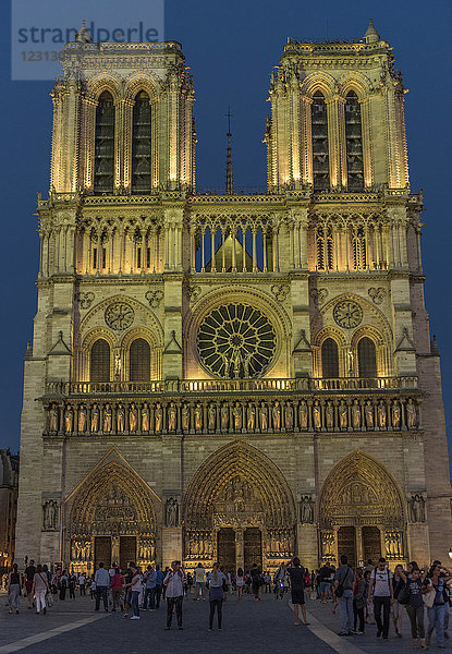 Frankreich  Ile de France  Paris  4. Bezirk  Frontansicht von Notre-Dame in der Nacht
